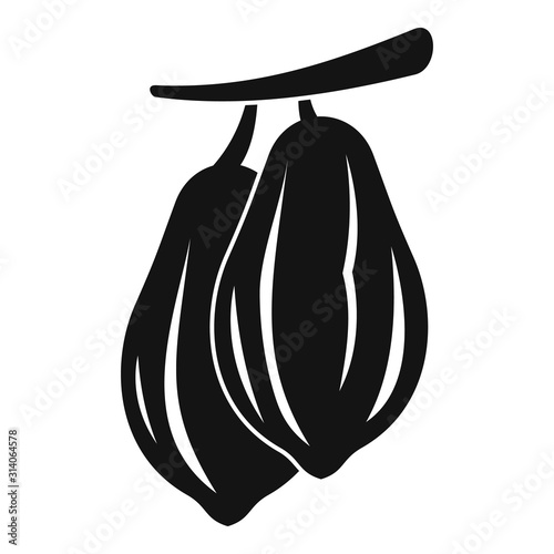 Raw cocoa icon. Simple illustration of raw cocoa vector icon for web design isolated on white background