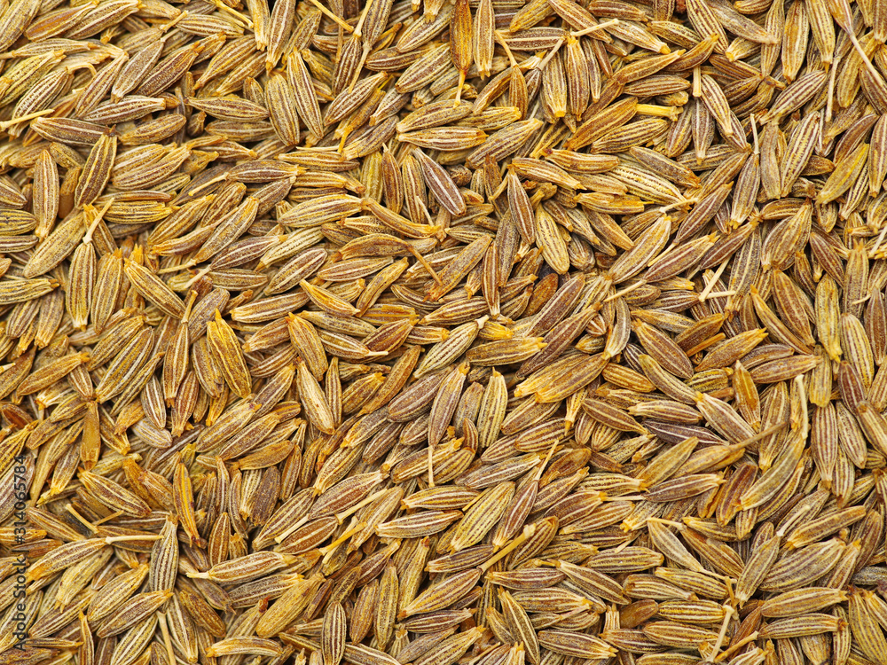 Cumin seeds texture, full frame background. Second most popular spice in the world after black pepper. Cumin seeds texture, full frame background. Second most popular spice in the world after black pepper.