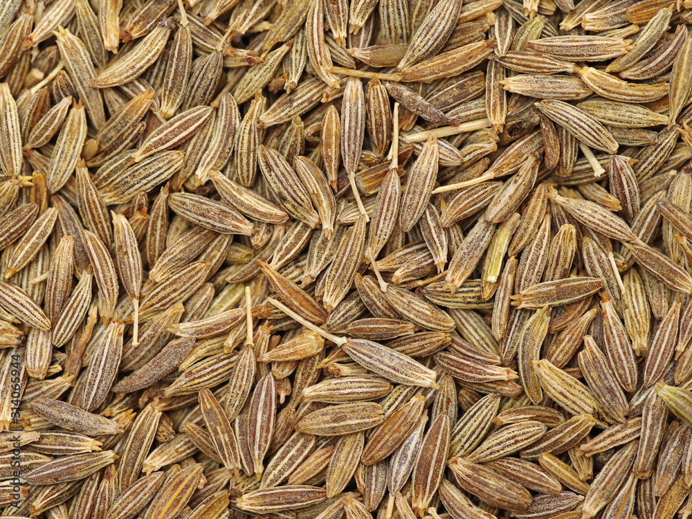 Cumin seeds texture, full frame background. Second most popular spice in the world after black pepper. Cumin seeds texture, full frame background. Second most popular spice in the world after black pepper.