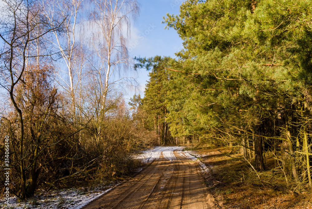 Dolina Górnej Narwi, Zima na Podlasiu, Szlak Konopielki Dolina Górnej Narwi, Zima na Podlasiu, Szlak Konopielki