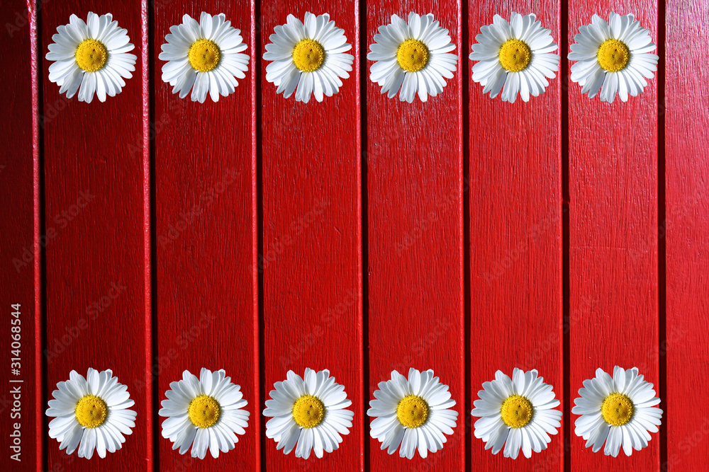 Fototapeta premium Colorful spring background with beautiful flowers.