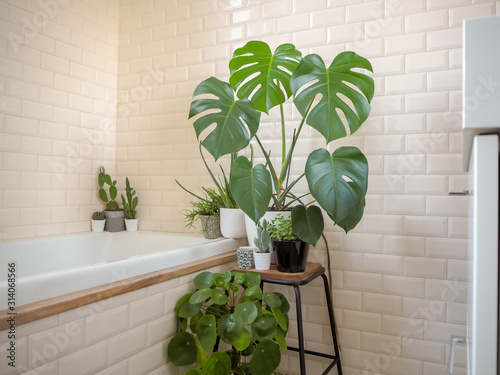 Small bright bathroom with subway tiles and a large variety of green potted plants creating a green oasis