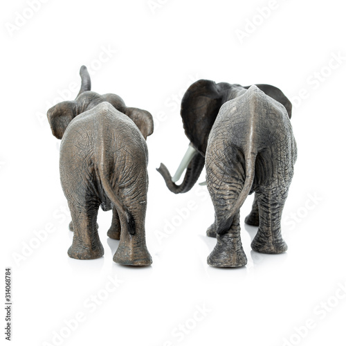 elephant isolated on a white background