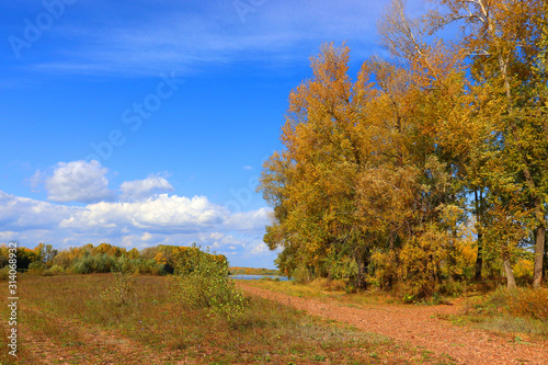 Autumn landscape in forest