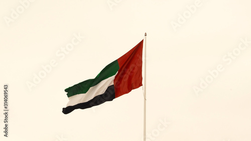 Flag of United Arab Emirates against cloudy white sky in a winter day UAE flag waving in Dubai city , national symbol of UAE.