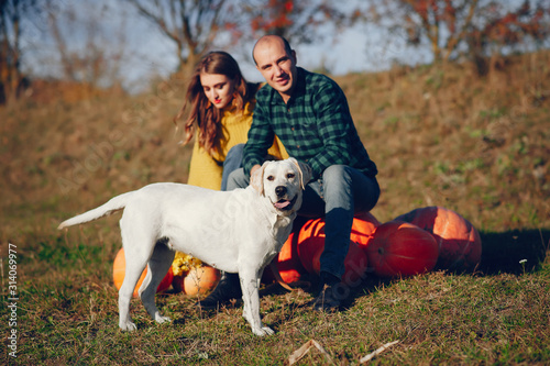 Cute couple in a park. Man with his wife. Lady in a yellow sweater. Family with a dog © hetmanstock2