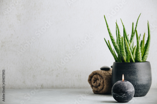 Obraz na plátně Natural Spa concept with aloe vera, space for text and logo