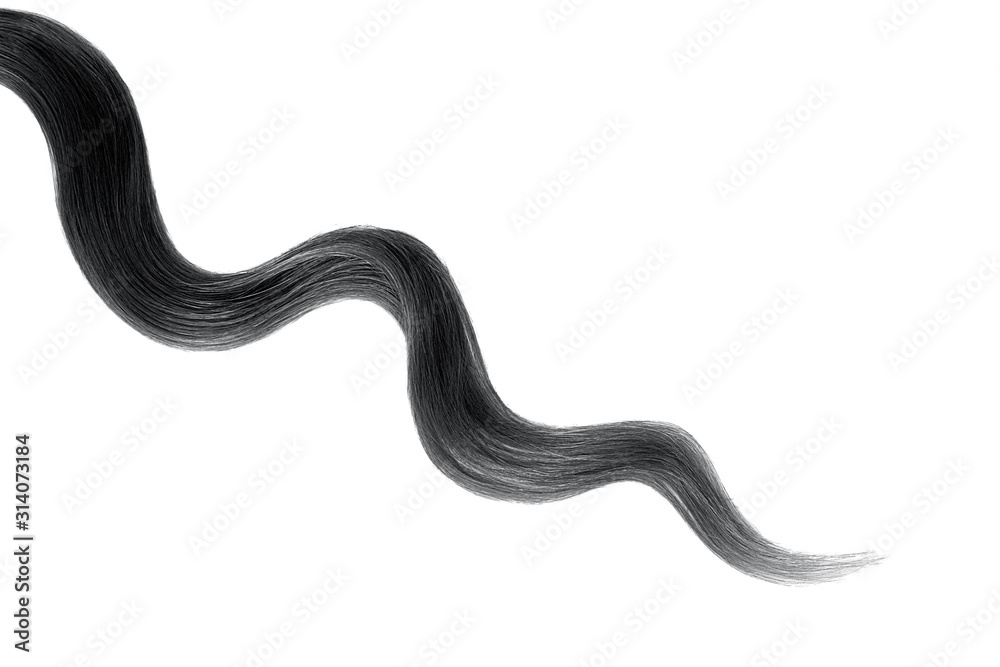 Black hair on white background, isolated. Thin curly thread Black hair on white background, isolated. Thin curly thread