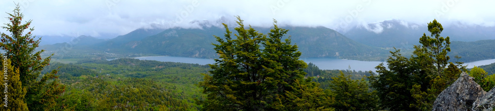 Forest view in Bariloche Argentina