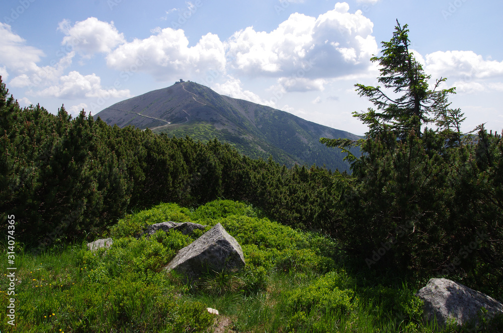 View of Snezka hill in summer, Krkonose - Czech Republic