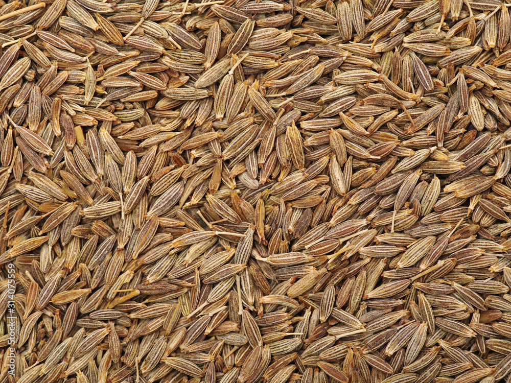 Cumin seeds texture, full frame background. Second most popular spice in the world after black pepper. Cumin seeds texture, full frame background. Second most popular spice in the world after black pepper.