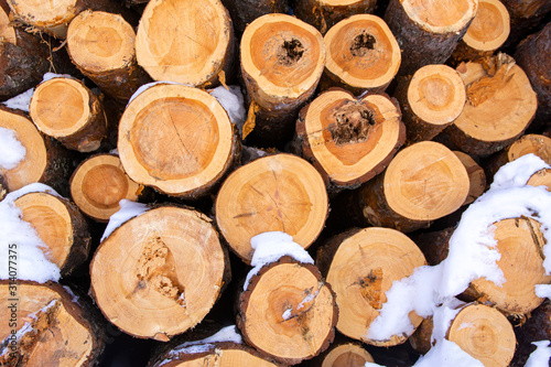 A pile of wooden logs with some snow, Finland