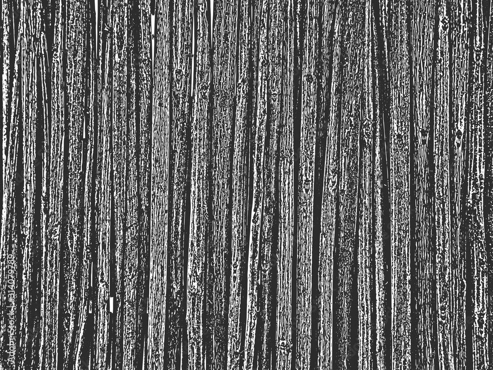 Distress old dry wooden texture. Black and white grunge background. Vector illustration Distress old dry wooden texture. Black and white grunge background. Vector illustration