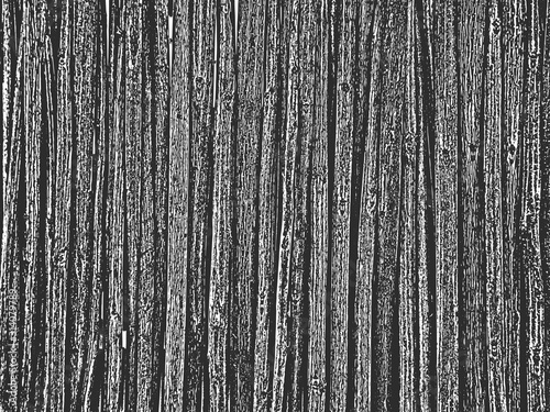 Distress old dry wooden texture. Black and white grunge background. Vector illustration
