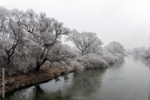 Frosty trees along the river Sajo on a winter day