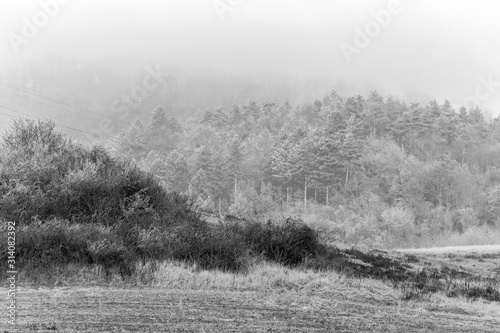 Frosty hills on a winter day photo