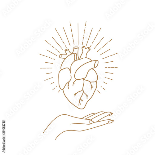 Vector abstract logo design template in trendy linear minimal style - hands holding anatomic heart - abstract symbol for cosmetics and packaging, jewellery, hand crafted or beauty products