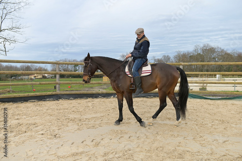 Horseman riding horse in ranch