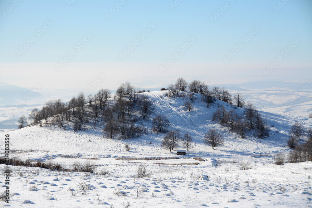 a small hill with trees in winter