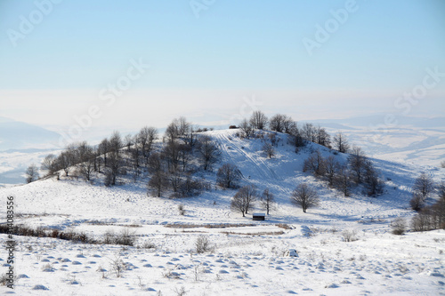 a small hill with trees in winter