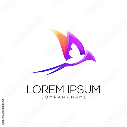 swallow logo design vector abstract