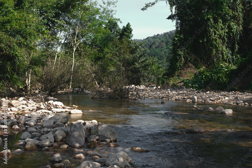 natural stream water