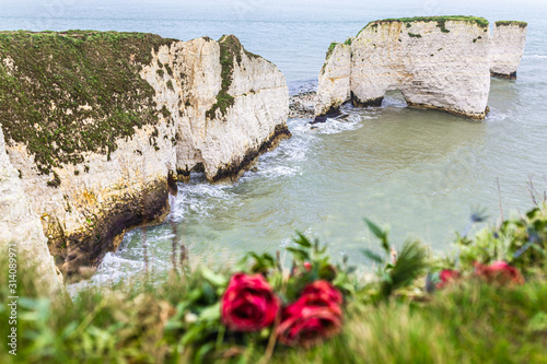 Old Harry rocks memory photo