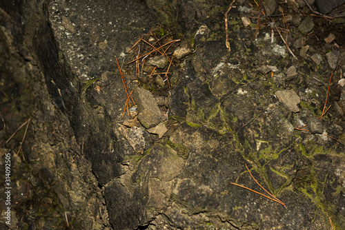 Part of an old stone rock with moss