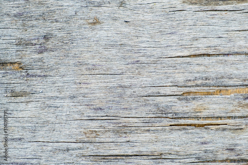 wooden old planks texture b...