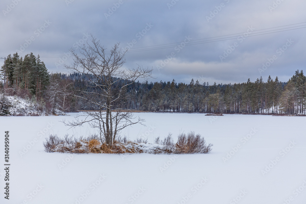 A frozen tree stands alone on a frozen lake. A frozen tree stands alone on a frozen lake.