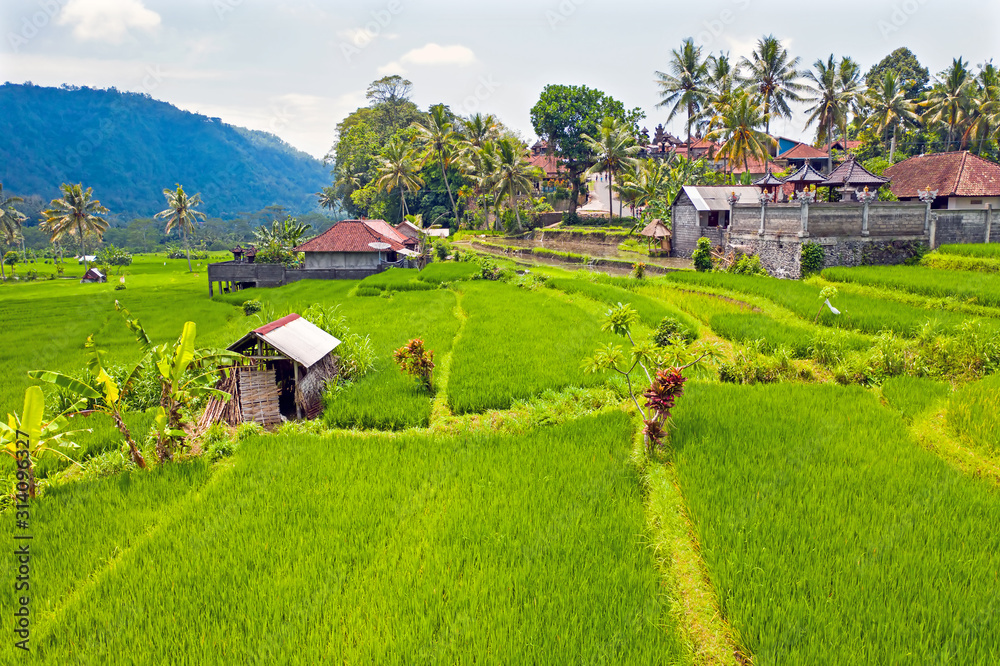 Aerial from rice terraces in Sidemen on Bali Indonesia