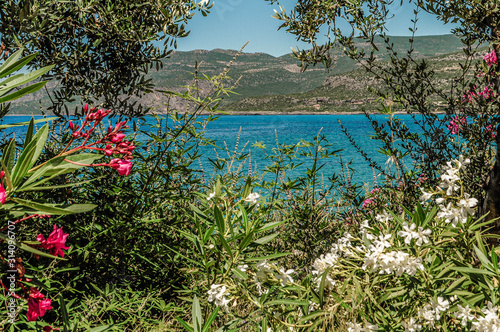 Wallpaper Mural Beautiful landscape in Greece, Europe Torontodigital.ca