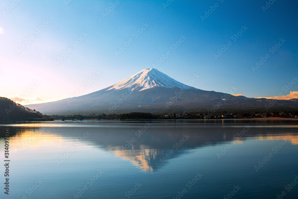 The morning of Mount Fuji and the trees by the lake Kawaguchiko in Japan. The morning of Mount Fuji and the trees by the lake Kawaguchiko in Japan.