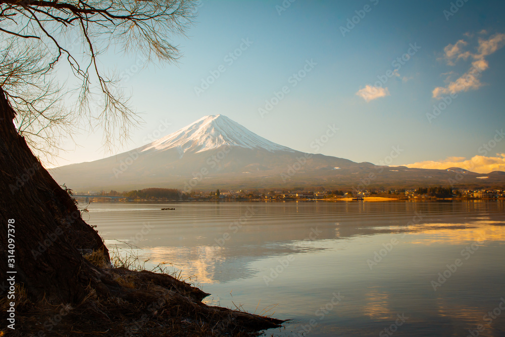 The morning of Mount Fuji and the trees by the lake Kawaguchiko in Japan.