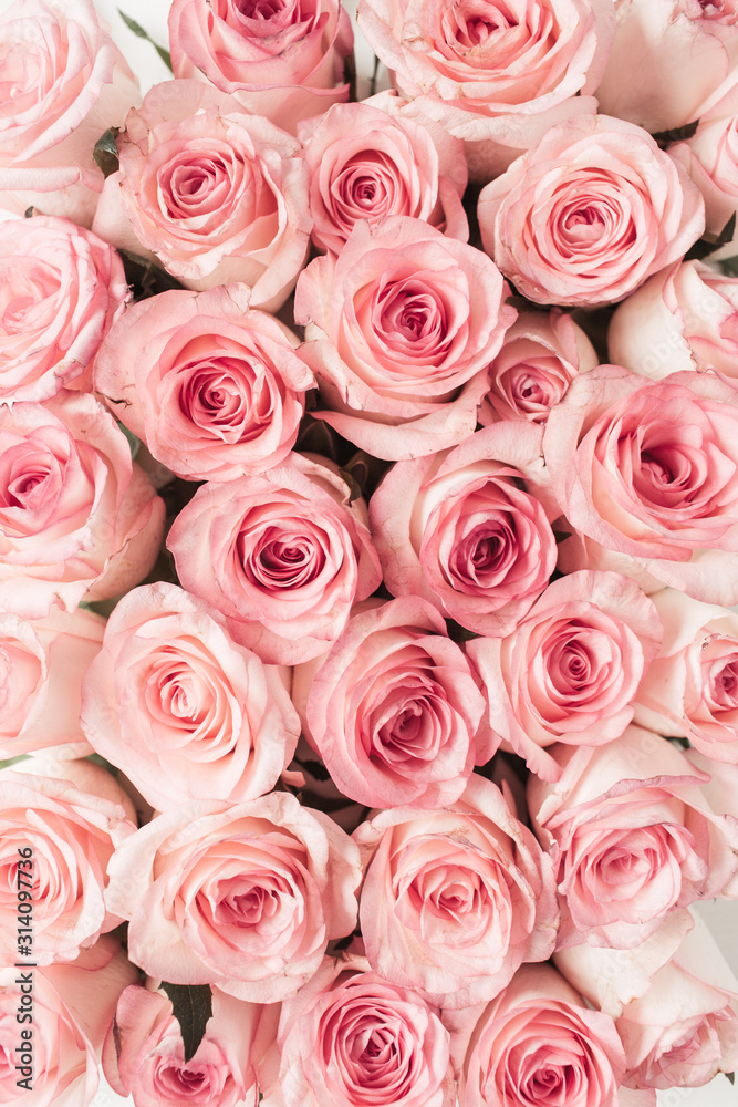 Pink rose flowers pattern background. Top view floral texture. Stock Photo  | Adobe Stock