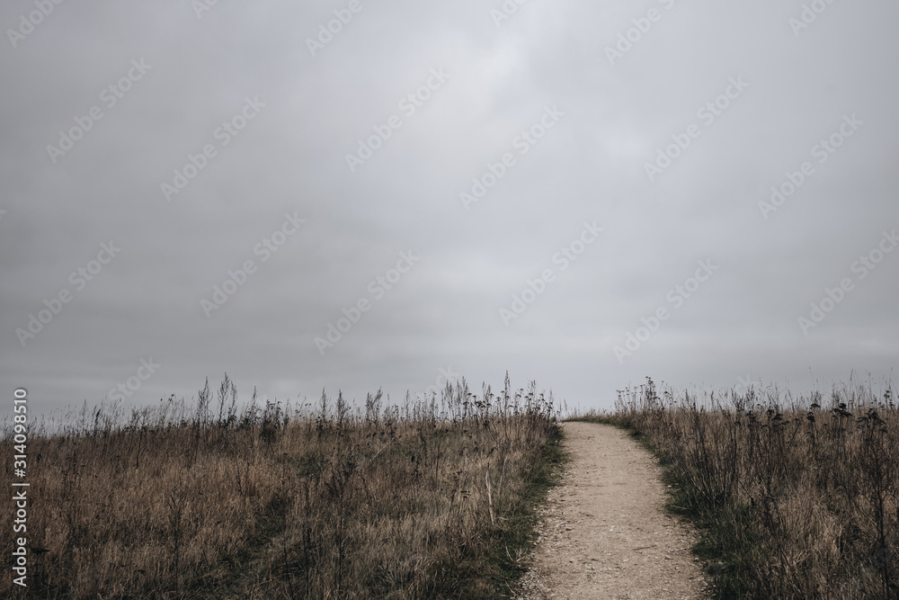 Cloudy weather, horizon and a path in a Nordic landscape during winter without snow Cloudy weather, horizon and a path in a Nordic landscape during winter without snow