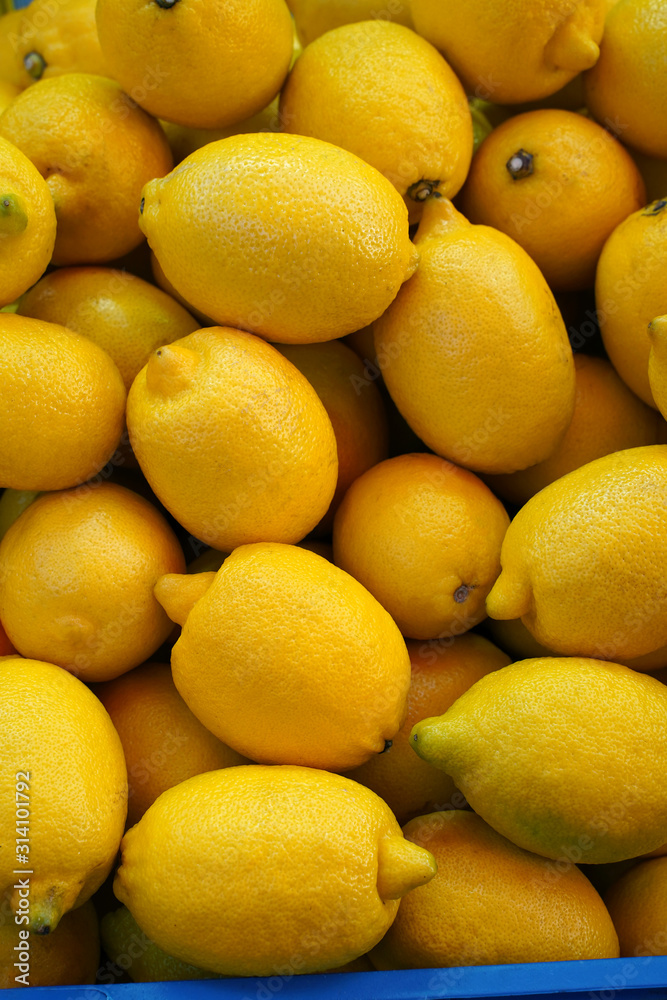 Fresh lemons harvest close up