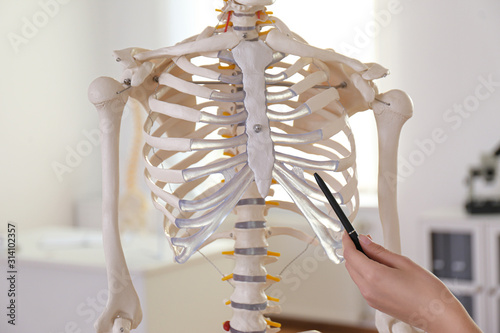 Orthopedist pointing on human skeleton model in clinic, closeup