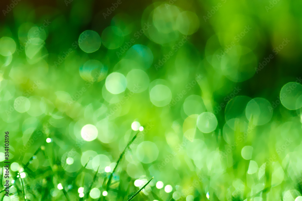 Abstract green background of grass with bright ethereal shining lights in the dark, unfocused bokeh Abstract green background of grass with bright ethereal shining lights in the dark, unfocused bokeh