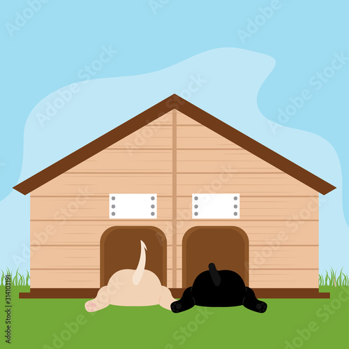 Dog in a pet house