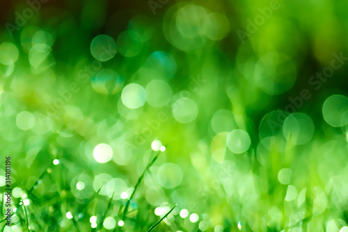 Abstract green background of grass with bright ethereal shining lights in the dark, unfocused bokeh