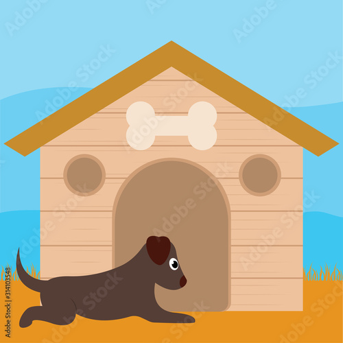 Dog in a pet house