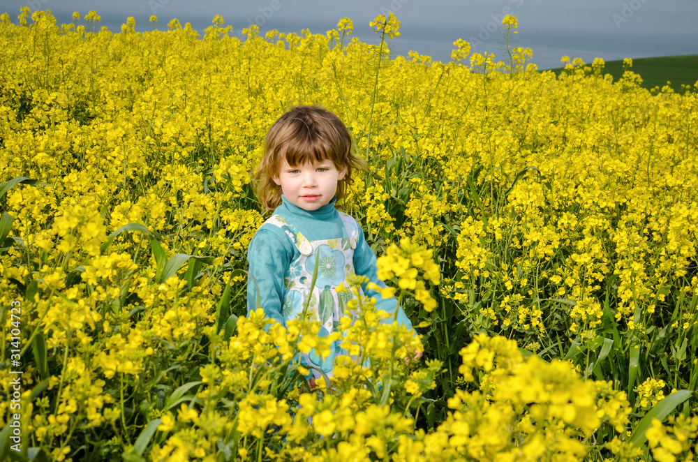 beautiful girl in rapeseed in bloom beautiful girl in rapeseed in bloom