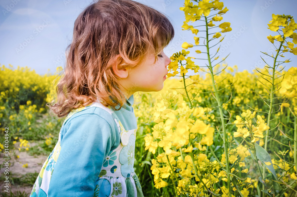 beautiful girl in rapeseed in bloom beautiful girl in rapeseed in bloom