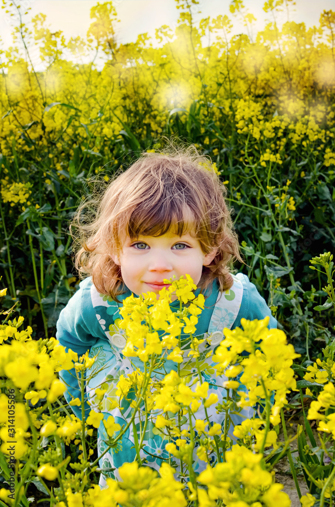 beautiful girl in rapeseed in bloom beautiful girl in rapeseed in bloom