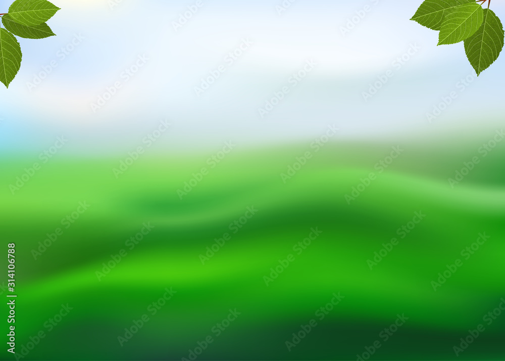 Fototapeta premium Nature green background with leaves on a blurred background of grass and sky. View with copy space add text. Vector