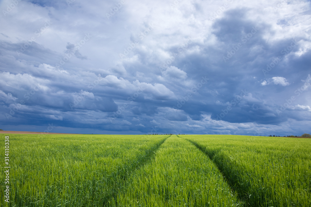 Stormy sky over green field in Bavaria Germany
