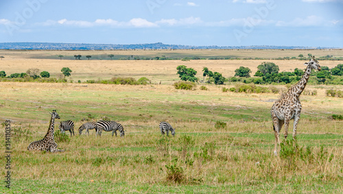 Foto Safari in Africa