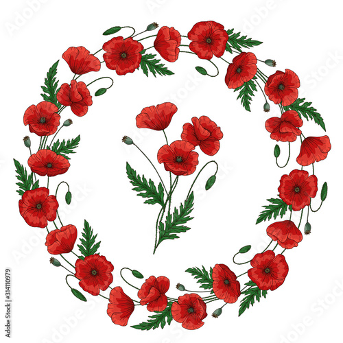 Wreath with red poppy flowers. Round floral frame. Papaver. Green stems and leaves. Hand drawn vector illustration. Isolated on white background.