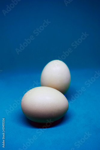 Two white chicken eggs on a blue background. Copy space, close-up.
